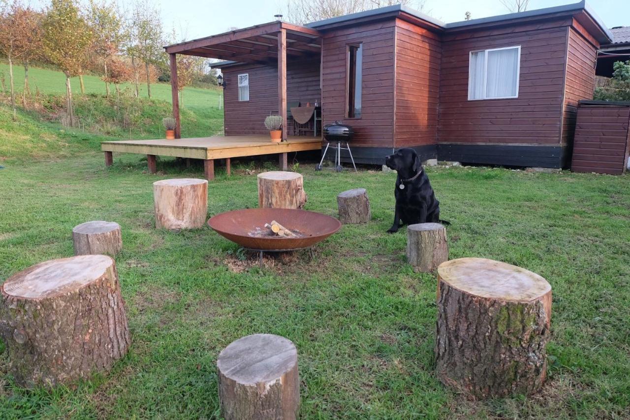 Cozy And Peaceful Cabin 15 Mins From Lyme Regis Villa Брайдпорт Екстериор снимка