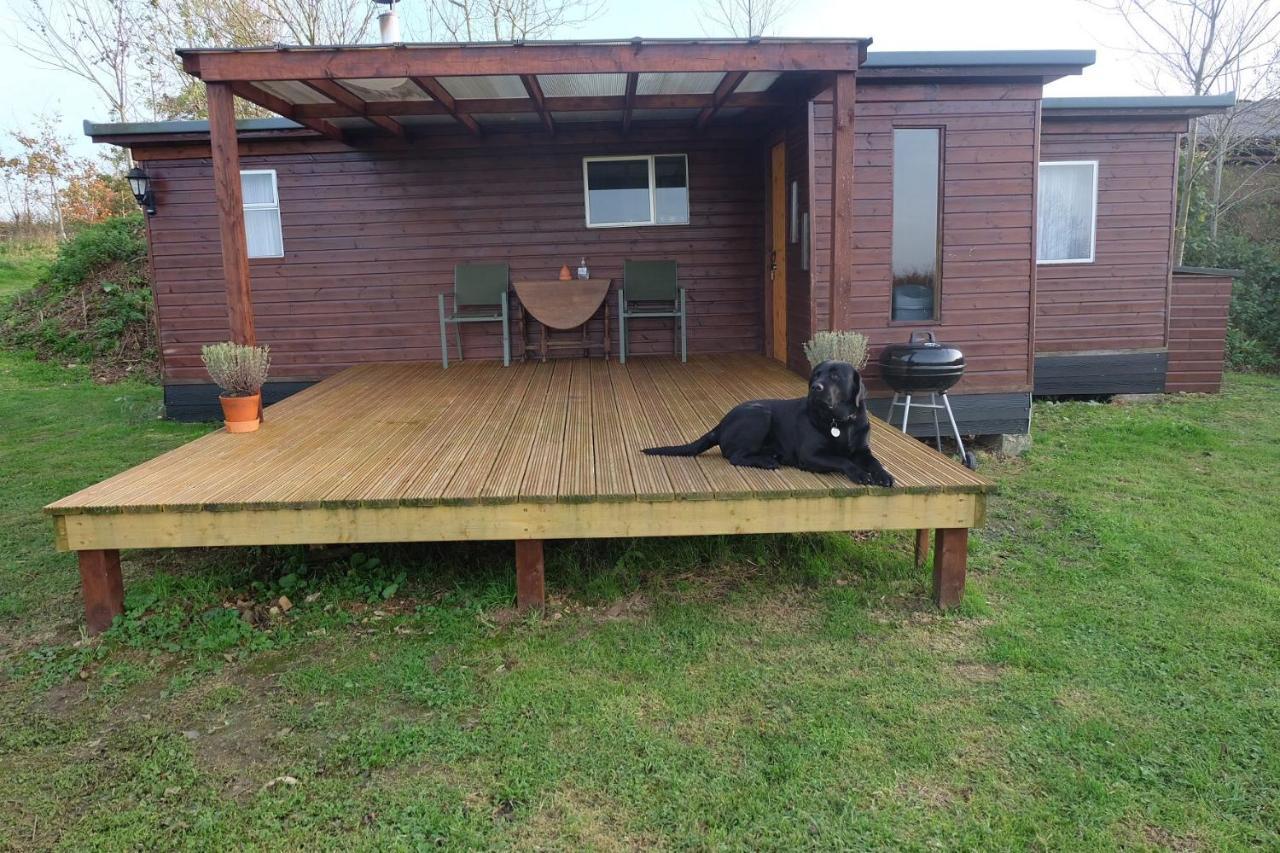 Cozy And Peaceful Cabin 15 Mins From Lyme Regis Villa Брайдпорт Екстериор снимка